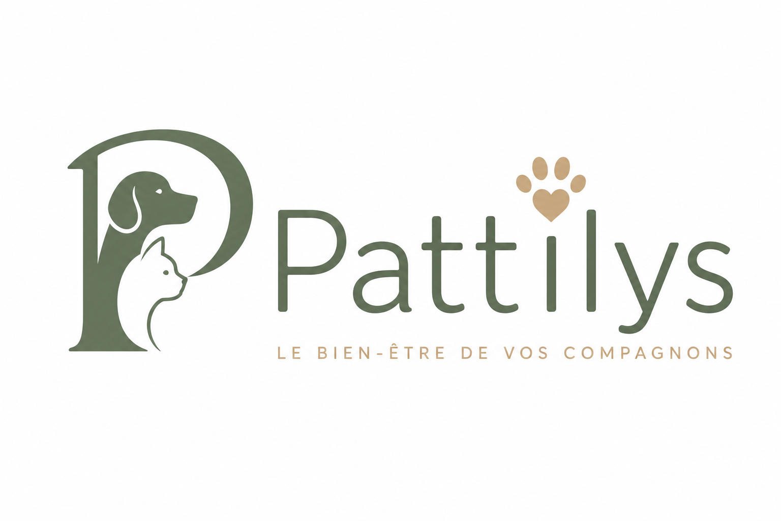 Pattilys